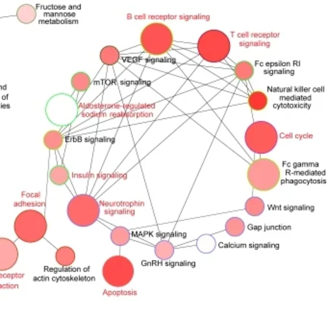 t individual pathways,interactions,kinetics,, Pathways,gene