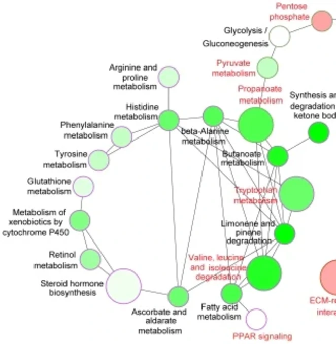 Nodes, Pathways significantly, interconnected subnetwork