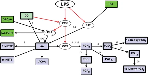 lipidome,regulating cell structure,energy storage, and signaling
