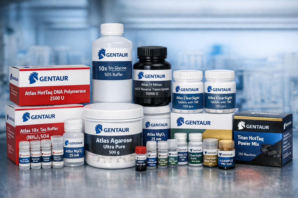 Titan HotTaq DNA polymerase 1000 U