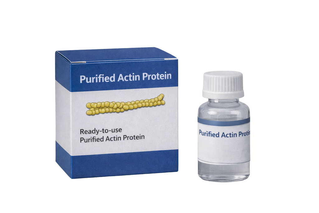 [AP05-XL] Actin protein (pyrene rabbit skeletal muscle)