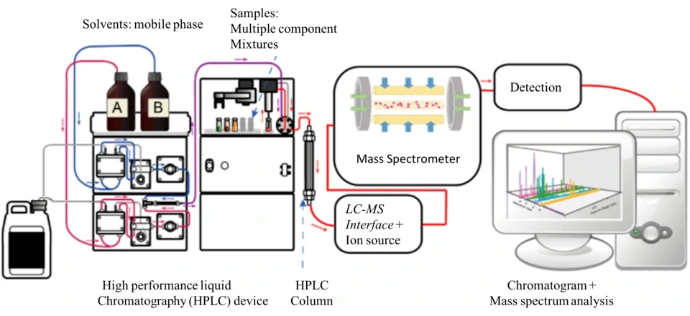 Introduction to LC-MS (Liquid Chromatography–Mass Spectrometry)